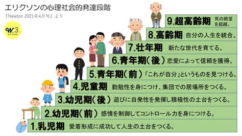 タナー段階とは？ わかりやすく解説